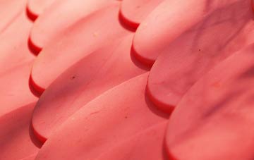 Danes Moss plastic roof costs