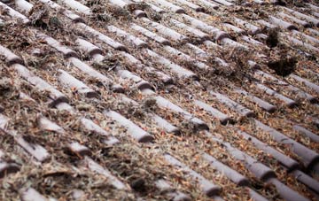 Danes Moss roof cleaning companies