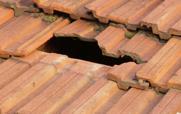 roof repair Danes Moss, Cheshire