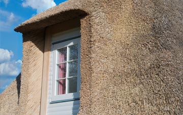 Danes Moss thatch roof disadvantages